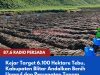 Kejar Target 6.100 Hektare Tebu, Kabupaten Blitar Andalkan Benih Unggul dan Percepatan Tanam