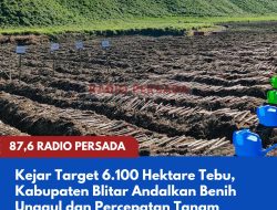Kejar Target 6.100 Hektare Tebu, Kabupaten Blitar Andalkan Benih Unggul dan Percepatan Tanam