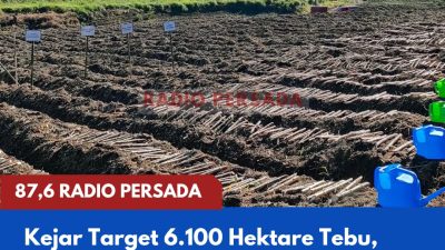 Kejar Target 6.100 Hektare Tebu, Kabupaten Blitar Andalkan Benih Unggul dan Percepatan Tanam