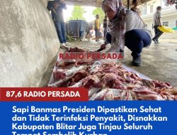 Sapi Banmas Presiden Dipastikan Sehat dan Tidak Terinfeksi Penyakit, Disnakkan Kabupaten Blitar Juga Tinjau Seluruh Tempat Sembelih Kurban