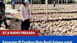 Kementan RI Pastikan Mutu Benih Kelapa untuk Petani, CV Lang Buana Menjadi Lokasi Audit Produksi di Kabupaten Blitar