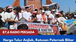 Harga Telur Anjlok, Ratusan Peternak Blitar Raya Turun ke Jalan Sampaikan Aspirasi dan Bagikan 1 Juta Telur kepada Masyarakat
