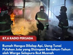 Suara Ledakan Disusul Kobaran Api, Rumah Milik Lansia di Selopuro Hangus Terbakar Diduga Akibat Korsleting