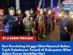 Dari Korsleting hingga Obat Nyamuk Bakar, Tujuh Kebakaran Terjadi di Kabupaten Blitar dalam Kurun Sembilan Hari