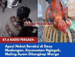 Apes! Nekat Beraksi di Desa Modangan, Kecamatan Nglegok, Maling Ayam Ditangkap Warga