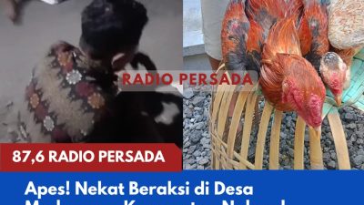 Apes! Nekat Beraksi di Desa Modangan, Kecamatan Nglegok, Maling Ayam Ditangkap Warga