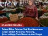 Petani Blitar Selatan Tidak Bisa Menanam Cabai akibat Kemarau Panjang, Ketersediaan Stok Menurun dan Harga Berpotensi Menguat