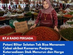 Petani Blitar Selatan Tidak Bisa Menanam Cabai akibat Kemarau Panjang, Ketersediaan Stok Menurun dan Harga Berpotensi Menguat