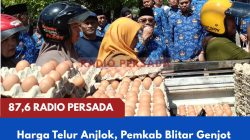 Harga Telur Anjlok, Pemkab Blitar Genjot Gerakan Konsumsi Lokal hingga Perluas Kerja Sama Antardaerah