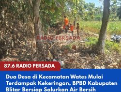 Dua Desa di Kecamatan Wates Mulai Terdampak Kekeringan, BPBD Blitar Bersiap Salurkan Air Bersih