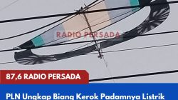 PLN Ungkap Biang Kerok Padamnya Listrik di Nglegok dan Garum, Layang-Layang Tersangkut di Jaringan
