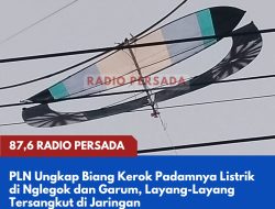 PLN Ungkap Biang Kerok Padamnya Listrik di Nglegok dan Garum, Layang-Layang Tersangkut di Jaringan