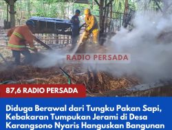Diduga Berawal dari Tungku Pakan Sapi, Kebakaran Tumpukan Jerami di Desa Karangsono Nyaris Hanguskan Bangunan
