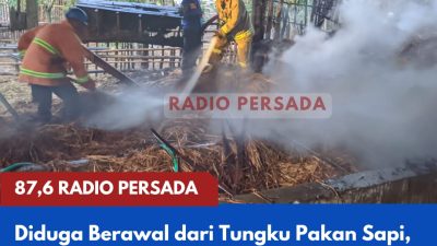 Diduga Berawal dari Tungku Pakan Sapi, Kebakaran Tumpukan Jerami di Desa Karangsono Nyaris Hanguskan Bangunan