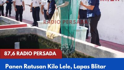 Panen Ratusan Kilo Lele, Lapas Blitar Wujudkan Ketahanan Pangan dari Balik Jeruji