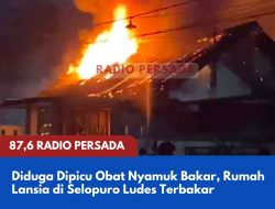 Diduga Dipicu Obat Nyamuk Bakar, Rumah Lansia di Selopuro Ludes Terbakar
