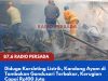 Diduga Korsleting Listrik, Kandang Ayam di Tambakan Gandusari Terbakar, Kerugian Capai Rp100 Juta
