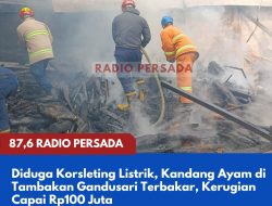 Diduga Korsleting Listrik, Kandang Ayam di Tambakan Gandusari Terbakar, Kerugian Capai Rp100 Juta