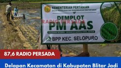 Kabupaten Blitar Uji Coba PM-AAS, Sistem Tanam Padi Modern Mulai Diterapkan di Delapan Kecamatan