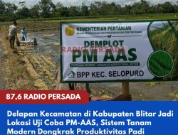 Kabupaten Blitar Uji Coba PM-AAS, Sistem Tanam Padi Modern Mulai Diterapkan di Delapan Kecamatan