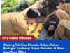 Malang Tak Bisa Ditolak, Dahan Pohon Beringin Tumbang Timpa Pemotor di Alun-alun Kota Blitar