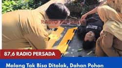 Malang Tak Bisa Ditolak, Dahan Pohon Beringin Tumbang Timpa Pemotor di Alun-alun Kota Blitar