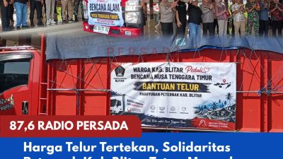 Harga Telur Tertekan, Solidaritas Peternak Kab Blitar Tetap Menyala: 8,7 Ton Telur Dikirim untuk Penyintas Gempa NTT