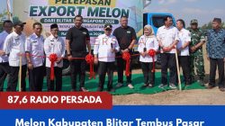 Melon Kabupaten Blitar Tembus Pasar Singapura, Produk Hortikultura Lokal Mulai Mendunia