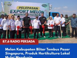 Melon Kabupaten Blitar Tembus Pasar Singapura, Produk Hortikultura Lokal Mulai Mendunia