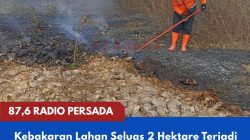 Kebakaran Lahan Seluas 2 Hektare Terjadi di Kaweron Talun Blitar, BPBD Kabupaten Blitar Pastikan Api Berhasil Dipadamkan