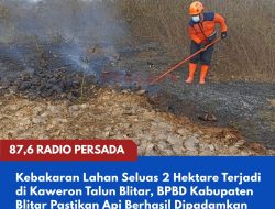 Kebakaran Lahan Seluas 2 Hektare Terjadi di Kaweron Talun Blitar, BPBD Kabupaten Blitar Pastikan Api Berhasil Dipadamkan