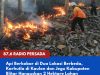 Api Berkobar di Dua Lokasi Berbeda, Karhutla di Kaulon dan Jegu Kabupaten Blitar Hanguskan 2 Hektare Lahan