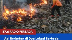 Api Berkobar di Dua Lokasi Berbeda, Karhutla di Kaulon dan Jegu Kabupaten Blitar Hanguskan 2 Hektare Lahan
