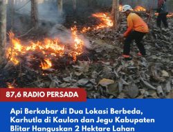Api Berkobar di Dua Lokasi Berbeda, Karhutla di Kaulon dan Jegu Kabupaten Blitar Hanguskan 2 Hektare Lahan