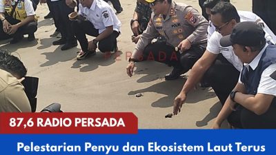 Pelestarian Penyu dan Ekosistem Laut Terus Digalakkan, Pemkab Blitar Lepas 100 Tukik di Pantai Jolosutro