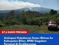 Antisipasi Kebakaran Hutan Meluas ke Kabupaten Blitar, BPBD Siagakan Personel di Sirahkencong