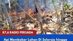 Api Membakar Lahan Di Selorejo hingga Sekitar 1,5 Hektare, Warga Diingatkan Tak Sembarangan Bakar-bakar