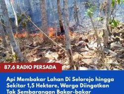 Api Membakar Lahan Di Selorejo hingga Sekitar 1,5 Hektare, Warga Diingatkan Tak Sembarangan Bakar-bakar