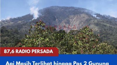 Api Masih Terlihat hingga Pos 2 Gunung Buthak, Helikopter Water Bombing Dikerahkan Padamkan Karhutla