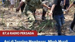 Api di Tegalan Membesar, Mbah Murdi Terperosok ke Jurang Saat Berusaha Memadamkannya