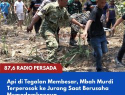 Api di Tegalan Membesar, Mbah Murdi Terperosok ke Jurang Saat Berusaha Memadamkannya