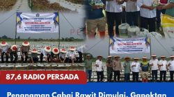 Penanaman Cabai Rawit Dimulai, Gapoktan Ngudi Sleman Makmur Terima Dukungan Sarana Produksi Pertanian
