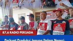 Perkuat Produksi Jagung Dalam Negeri, Bantuan 5,64 Ton Benih Disalurkan untuk 364 Hektare Lahan di Wonodadi