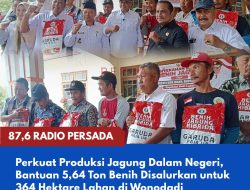 Perkuat Produksi Jagung Dalam Negeri, Bantuan 5,64 Ton Benih Disalurkan untuk 364 Hektare Lahan di Wonodadi