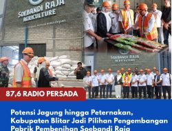Potensi Jagung hingga Peternakan, Kabupaten Blitar Jadi Pilihan Pengembangan Pabrik Pembenihan Soebandi Raja