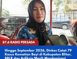 Hingga September 2026, Dinkes Catat 79 Kasus Kematian Bayi di Kabupaten Blitar, BBLR dan Asfiksia Masih Mendominasi